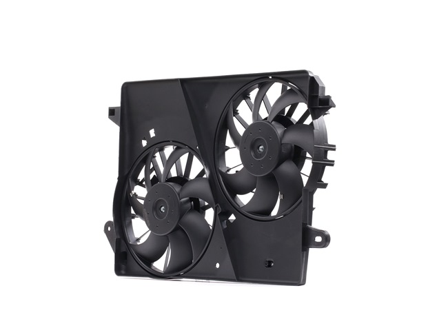 RIDEX 508R0169 Fan, radiator