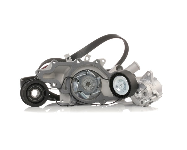 RIDEX 4172P0002 Keilrippenriemensatz Mercedes W203 C 270 CDI 2.7 (203.016) 163 PS Diesel Kosten