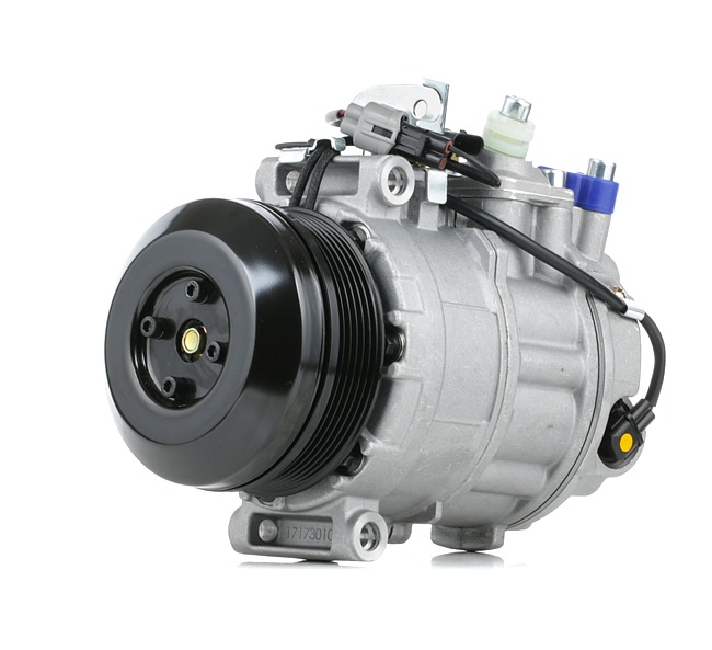 Aircopomp 447K0442 RIDEX A 003 230 90 11 VW