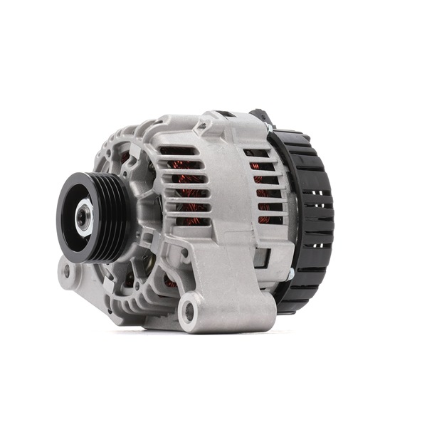RIDEX 4G0911 Alternator Peugeot 206 2A/C 1.4 i 75 PS Benzin Kosten