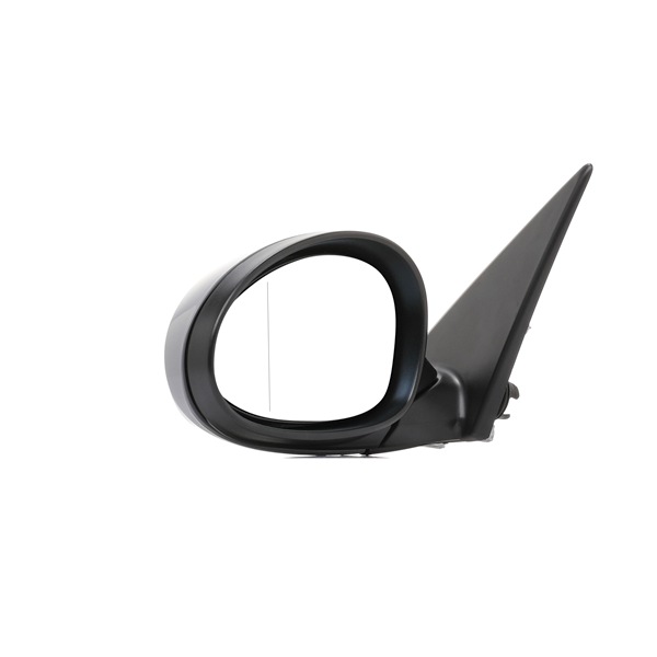 Välipeegel 50O0534 RIDEX 51167189945 BMW