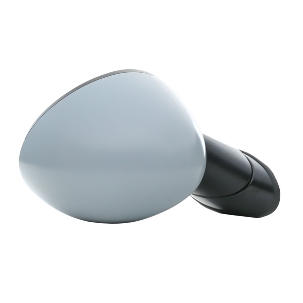 RIDEX 50O0542 Buitenspiegel