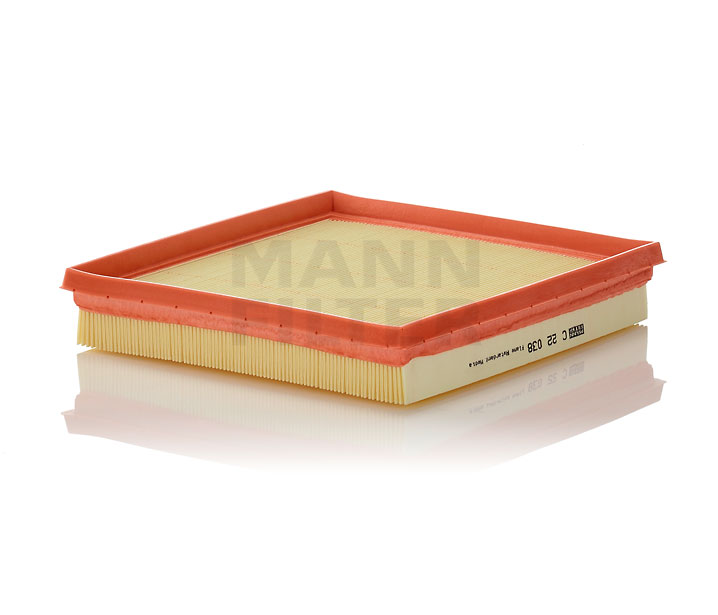 MANN-FILTER C 22 038 Filtro de ar
