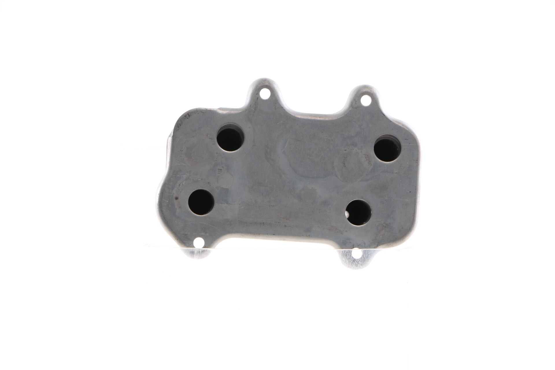MAHLE ORIGINAL 8MO 376 765-734 Moottoriöljyn jäähdytin
