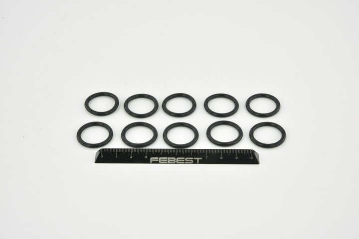 FEBEST RINGFL-041-PCS10 Tesniaci krúżok vstrekovacieho ventilu