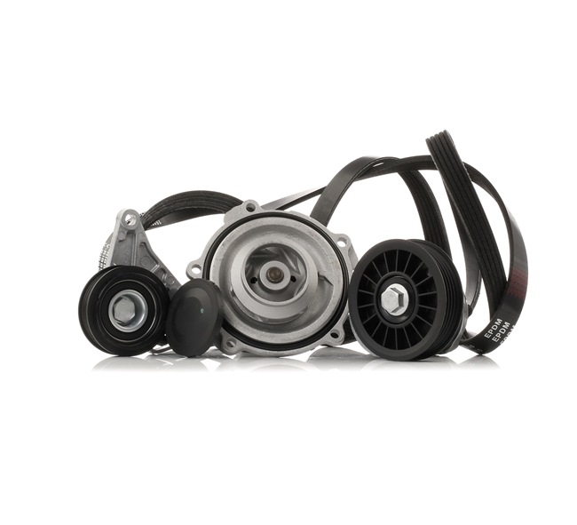 RIDEX 4172P0014 Kit de courroie d'accessoire Audi A4 B5 Avant 1.9 TDI quattro 110 CV Diesel 1998