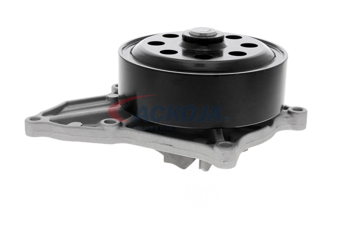 ACKOJA A26-0700 Pompe à eau