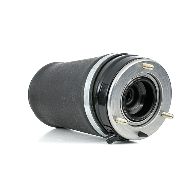 RIDEX 4119A0040 Muelle neumático, suspensión