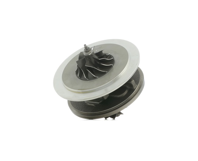 Turbolader 4973C0041 RIDEX 116522499509 CITROËN