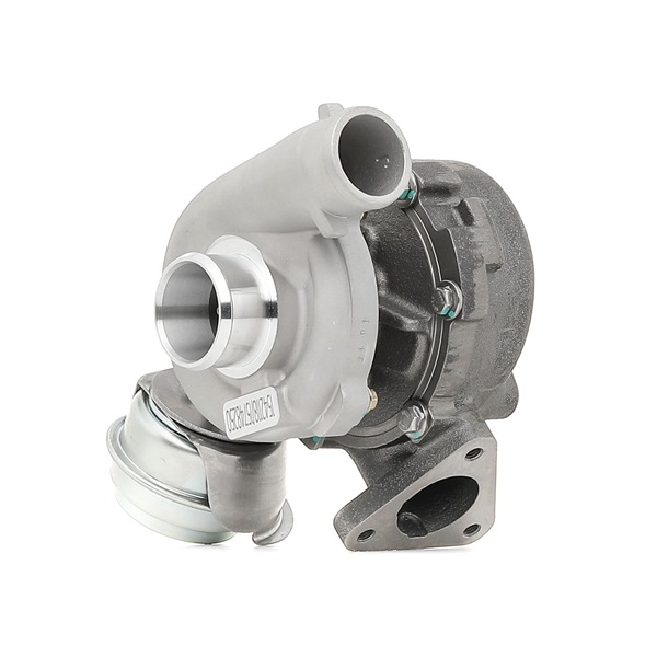 RIDEX 2234C0377 Turbolader