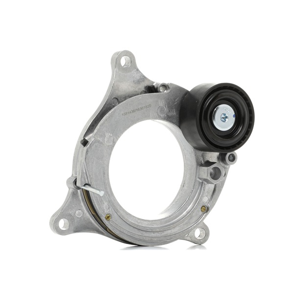Suspensión, transmisión automática 249M0006 RIDEX 8K0 399 151CL PORSCHE
