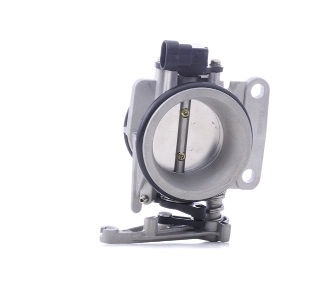 Gasklep RIDEX RENAULT 158T0221