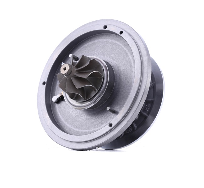 Turbolader RIDEX KIA 4973C0048