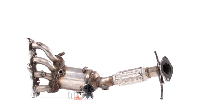 RIDEX 429C0591 Catalizador