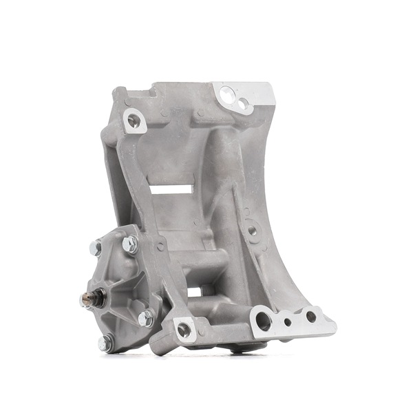 RIDEX 596O0071 Bomba de aceite del motor para BMW 3 Compact E46 325 ti 192 cv 2004 M54 B25 (256S5) Motor Otto RIDEX 596O0071 Bomba de aceite BMW E46 Compact 325 ti 192 cv Gasolina precio