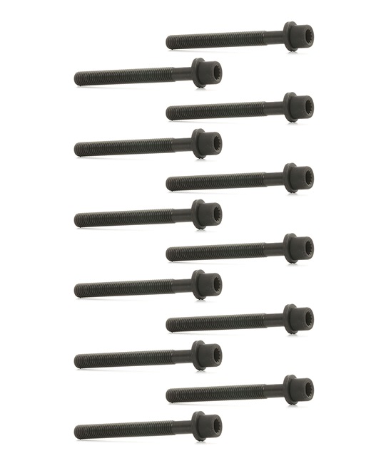 1217B0021 RIDEX topplocksbultar