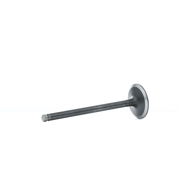 STARK SKINV-3270012 Inlet valve