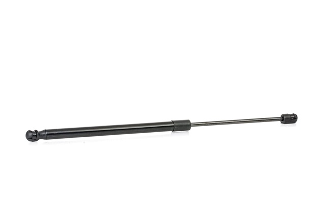 219G0955 costo Pistoni portellone RIDEX AUDI Q5