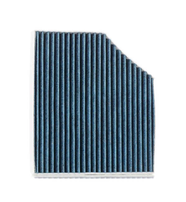 RIDEX 424I0487 Filtr, wentylacja przestrzeni pasażerskiej
