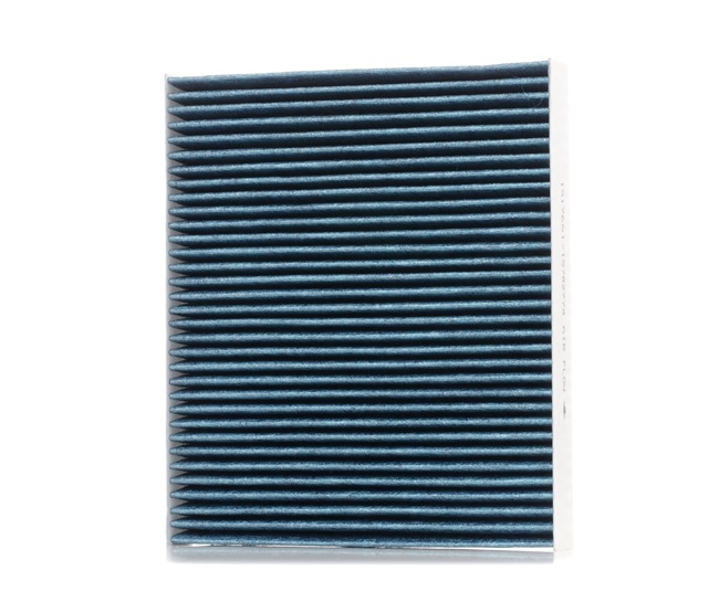 RIDEX 424I0491 Pollenfilter