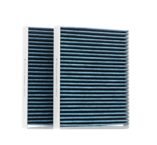 RIDEX 424I0495 Pollenfilter