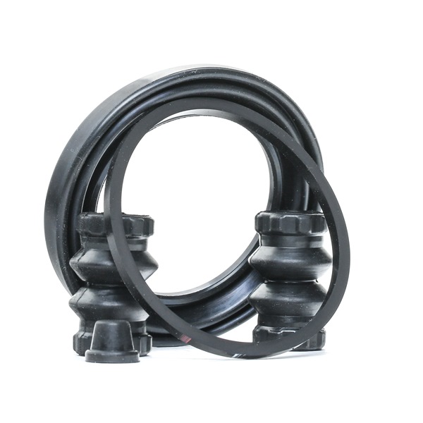RIDEX 405R0173 Rep-sæt til kaliber Golf 7 Variant 1.4 TGI CNG 110 HK Benzin/naturgas (CNG) pris