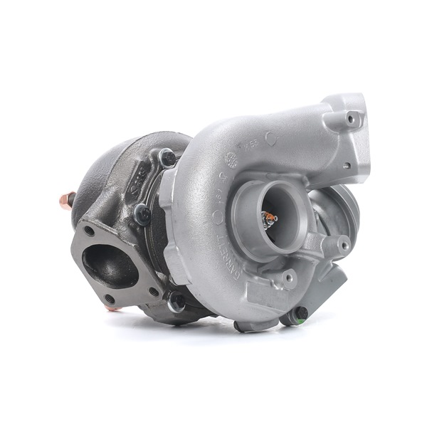 RIDEX REMAN 2234C10022R Turbo pour BMW 3 Coupé E46 330Cd 3.0 204 CV 2003 M57 D30 (306D2) Diesel RIDEX REMAN 2234C10022R Turbo compresseur BMW E46 Coupe 330Cd 3.0 204 CV Diesel 2003