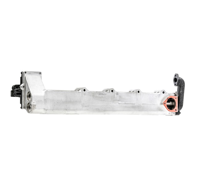RIDEX REMAN EGR-moodul 4198E0009R auto Agr klapp RIDEX REMAN 4198E0009R osta