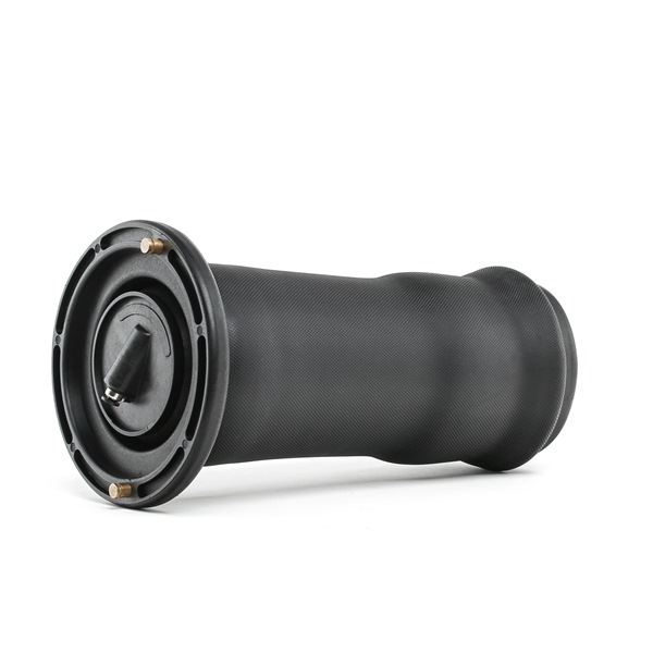 RIDEX Molla pneumatica 4119A0053 4119A0053 Soffietto, sospensione pneumatica LAND ROVER RIDEX costo