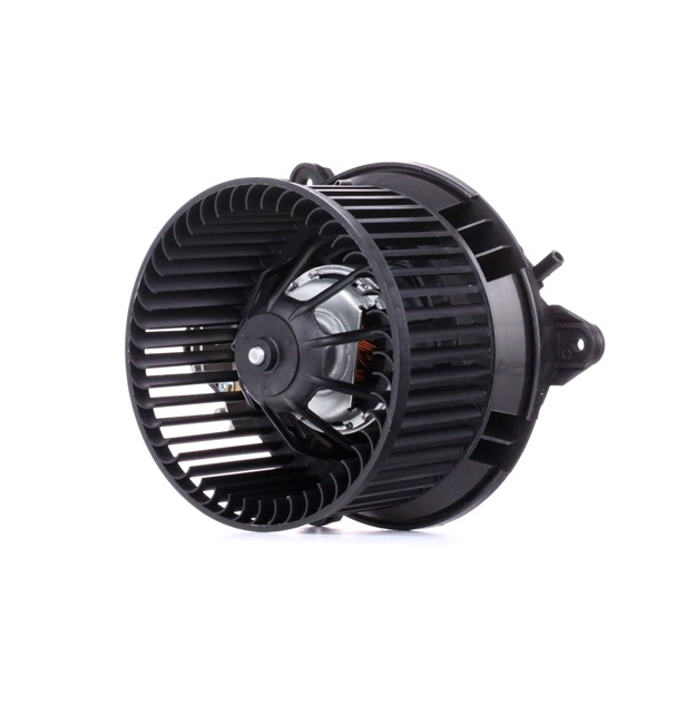 RIDEX 2669I0191 Pulseur d'air habitacle