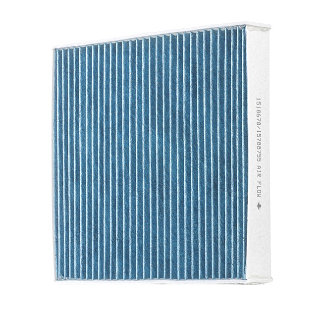 RIDEX 424I0542 Pollen filter