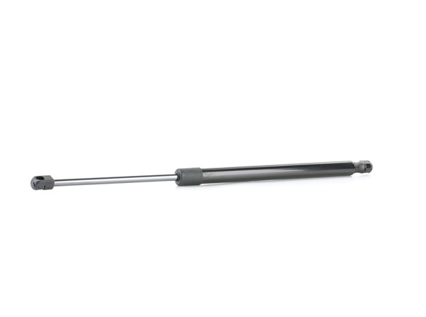 RIDEX 219G0960 Baklukedemper