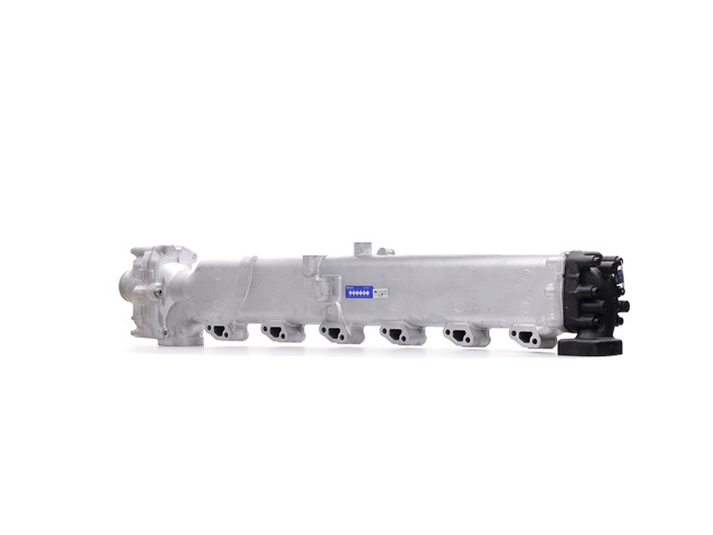 RIDEX REMAN EGR-moodul 4198E0014R RIDEX REMAN Agr klapp 4198E0014R hinnang