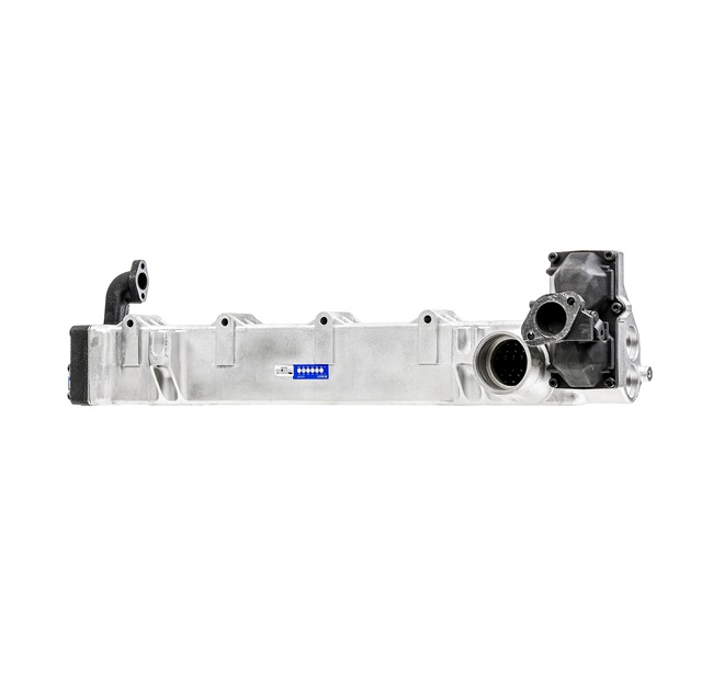 RIDEX REMAN EGR-moodul 4198E0015R RIDEX REMAN EGR klapp 4198E0015R kasutuskogemus