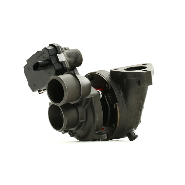 Turbolader 2234C10066R RIDEX REMAN 282312F300 HYUNDAI
