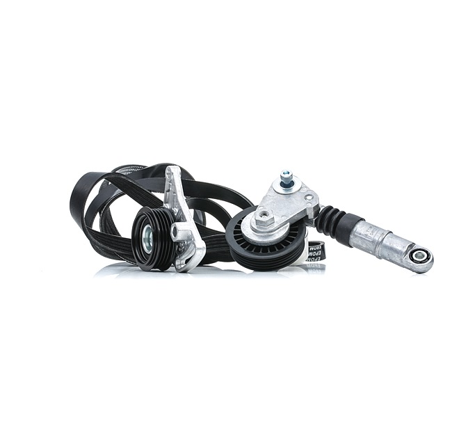 RIDEX Kit complet de courroies d'accessoire 542R0542 expérience