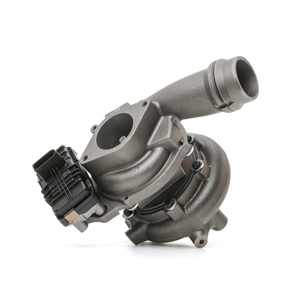 Montagesæt, lader 2234C10076R RIDEX REMAN 144111AT1A HONDA