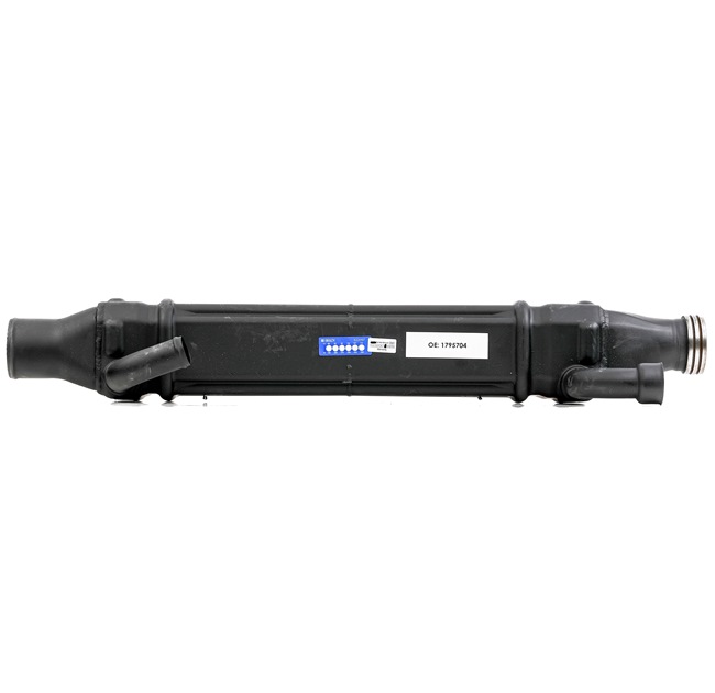 RIDEX REMAN EGR klapp 4198E0016R klientide arvustused