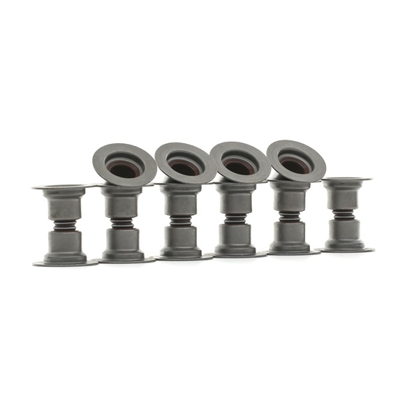 RIDEX 323S0015 Joint de queue de soupape Clio 2 1.4 16V (B/CB0P, BB13) 98 CV Essence 2008