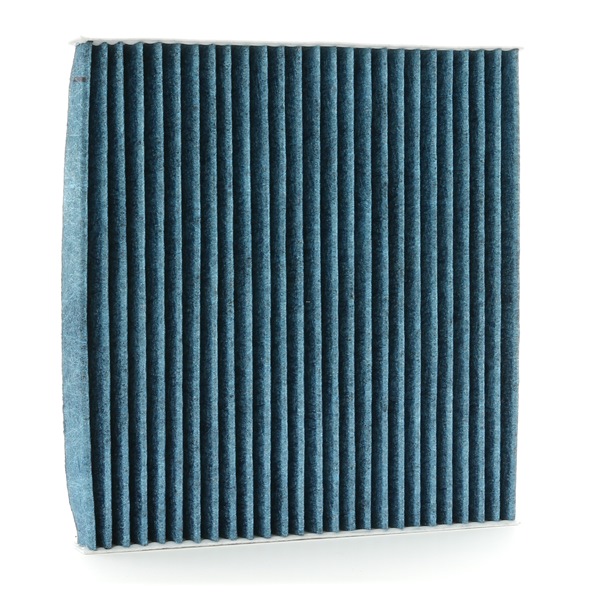 RIDEX 424I0605 Pollen filter