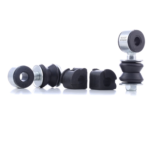 1097S0017 RIDEX Λάστιχα ζαμφόρ Seat φθηνά
