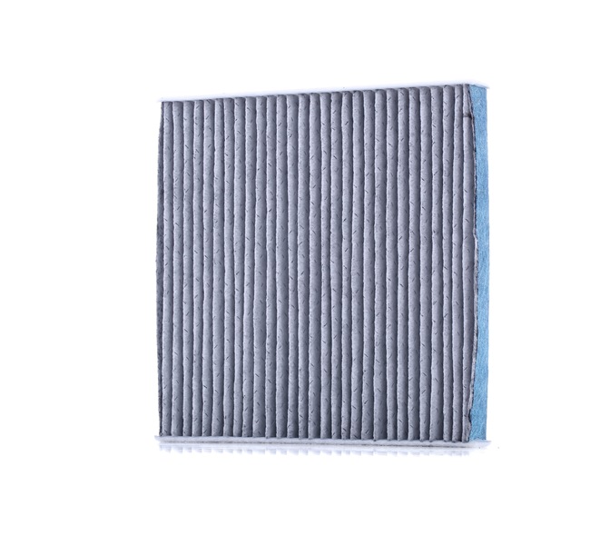 RIDEX 424I0628 Filtro abitacolo