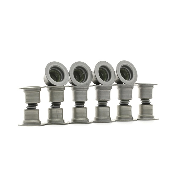RIDEX 323S0017 Jeu de joints d'étanchéité, tige de soupape