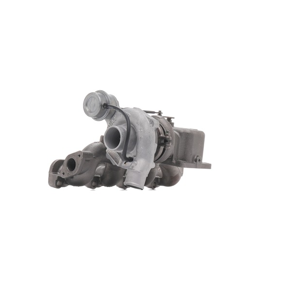 Turbolader 2234C10090R RIDEX REMAN 1 387 113 FORD