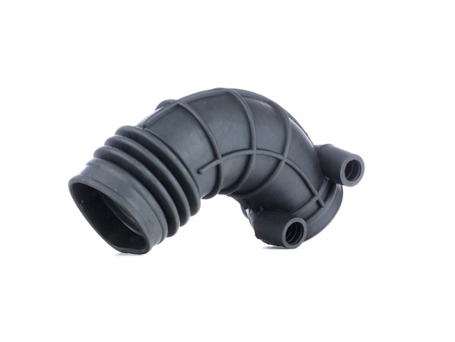 RIDEX 1591I0037 Insugsslang