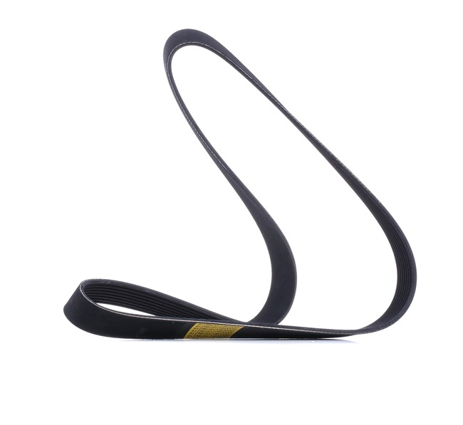 RIDEX 305P0473 Multiriem