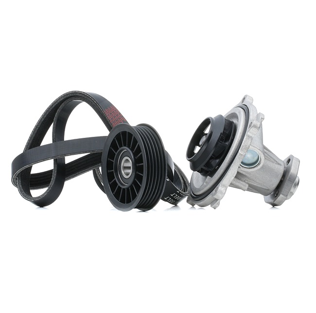 RIDEX 4172P0050 Jeu de courroies trapézoïdales à nervures Audi A4 B5 Avant 1.9 TDI quattro 110 CV Diesel 2000