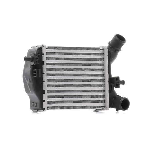 RIDEX 468I0154 Ladeluftkühler Abarth 500С Cabrio 1.4 (312.AXY1A, 312.AXY11) 145 PS Benzin Kosten
