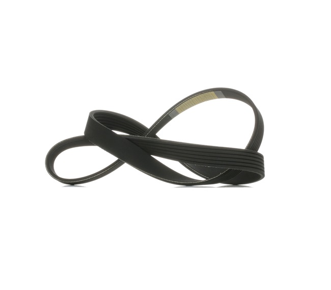 Multiriem 305P0476 RIDEX 1 809 956 FORD