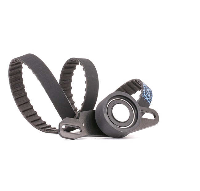 RIDEX 307T0348 Distributieriem set